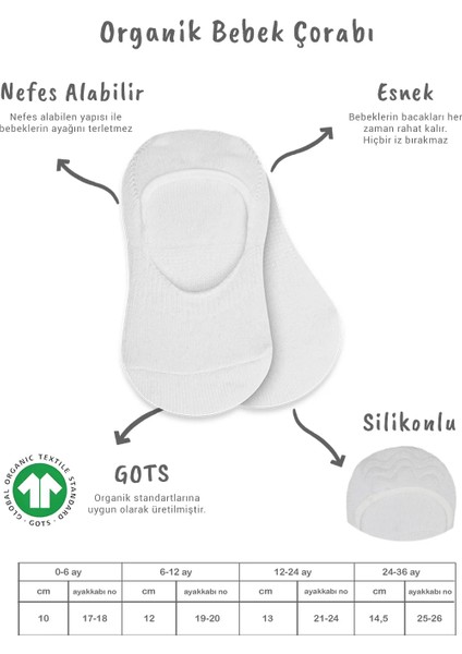 Bistyle 2'li Penye Babet Silikonlu Basic Çorap 30104 Beyaz Beyaz fiyatları