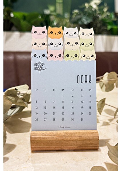 Ahşap Ayaklı Mini Tasarım Takvim 2025 Sevimli Kedili 12 Adet Renkli