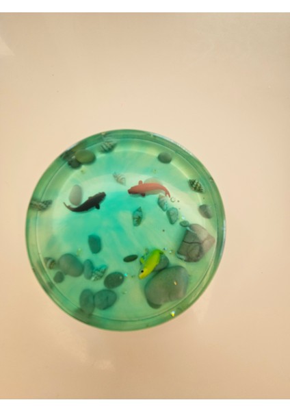 Balık Temalı El Yapımı Epoksi Bardak Altlığı 6’lı Set (Çap: 9.5 cm | Kalınlık: 2 Cm) fiyatları