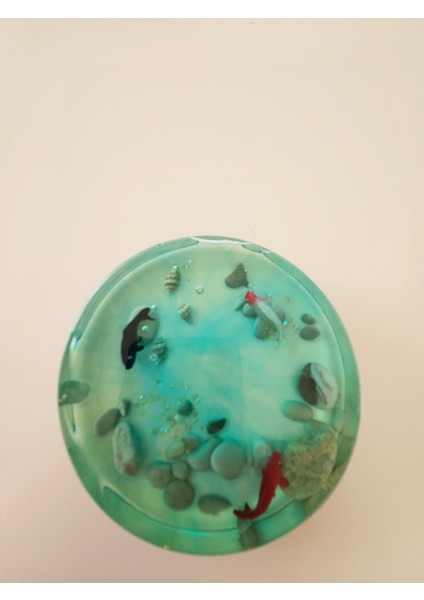 Balık Temalı El Yapımı Epoksi Bardak Altlığı 6’lı Set (Çap: 9.5 cm | Kalınlık: 2 Cm) fırsatları