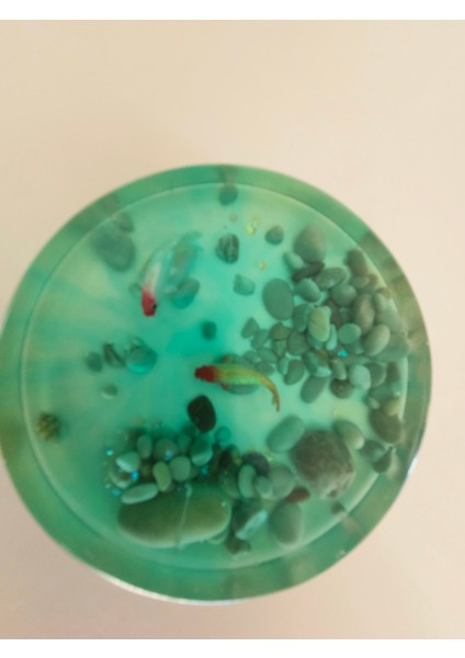 Balık Temalı El Yapımı Epoksi Bardak Altlığı 6’lı Set (Çap: 9.5 cm | Kalınlık: 2 Cm) indirimleri