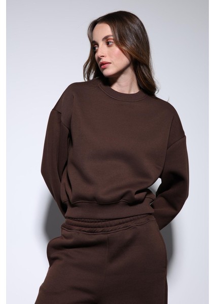 Kahve Basic Kadın Sweatshirt fırsatları