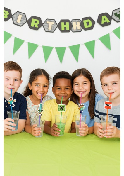 Pipet Minecraft Temalı 10 Lu Artistik Pipet Doğum Günü Eğlenceli Pipet