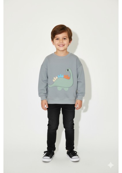 Erkek Çocuk %100 Pamuk Dinozor Nakışlı Sweatshirt 2145-1