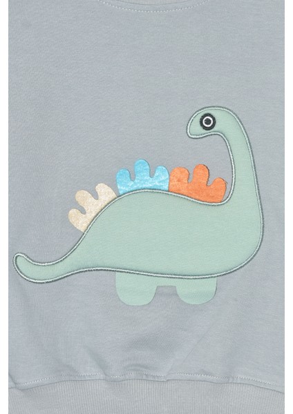 Erkek Çocuk %100 Pamuk Dinozor Nakışlı Sweatshirt 2145-1 fiyatları