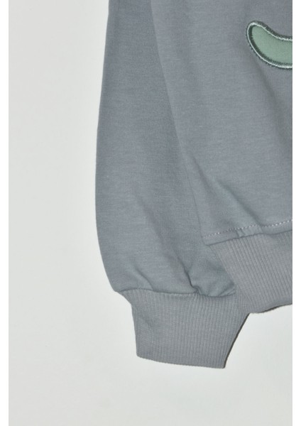Erkek Çocuk %100 Pamuk Dinozor Nakışlı Sweatshirt 2145-1 modelleri