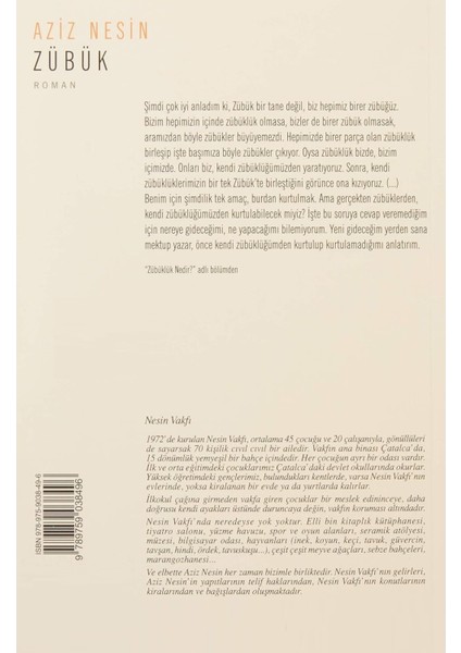 Zübük - Aziz Nesin | Vitrindeki Kitaplar fiyatları