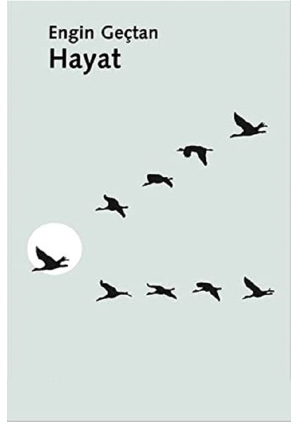 Hayat - Engin Geçtan | Vitrindeki Kitaplar fiyatları