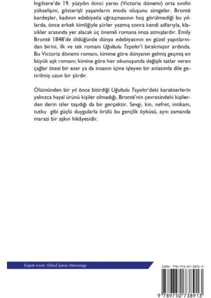 Uğultulu Tepeler - Emily Bronte | Vitrindeki Kitaplar fiyatları