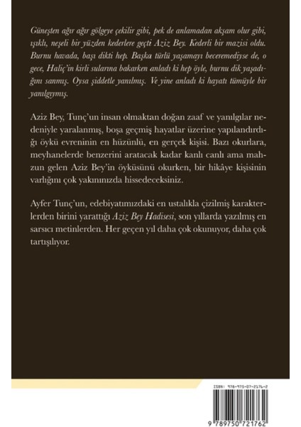 Aziz Bey Hadisesi - Ayfer Tunç | Vitrindeki Kitaplar fiyatları