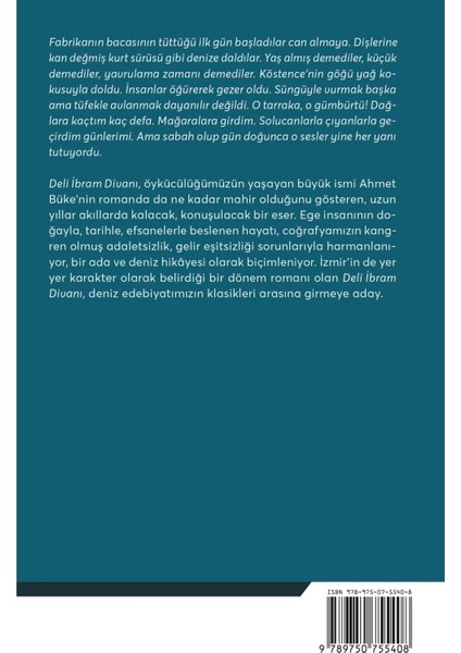 Deli Ibram Divanı - Ahmet Büke | Vitrindeki Kitaplar fiyatları