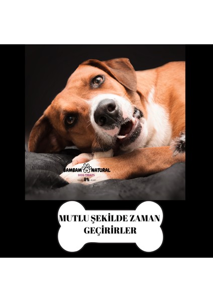 %100 Doğal Dana Akciğer Küp 2x2 cm 250GR Köpek Ödül ve Eğitim Maması – Katkısız, Koruyucusuz, Yüksek Proteinli Doğal Çiğneme Atıştırmalığı, Sağlıklı Diş ve Kas Gelişimini Destekler modelleri