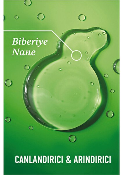 Rosemary Mint Arındırıcı Şampuan Ferahlatıcı Etkiyle 385 ml Tüm Saç Tipleri İçin