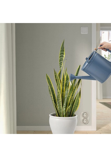 Akerbar Sulama Kabı Koyu Mavi 5 Lt Dış Mekan Için Uygundur fiyatları