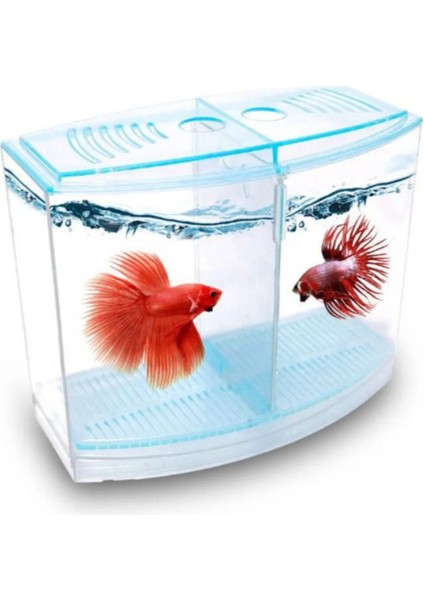 Beta Akvaryumu Tankı 9X19X14CM 1.8 Lt