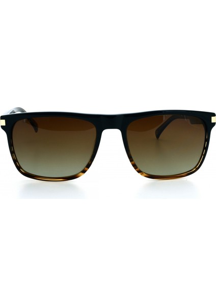 U.s.p.a. U.s.p.a. 0424 C1 57-19-145 Erkek Güneş Gözlüğü