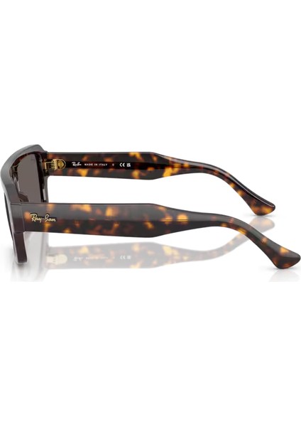 Rb RB3672 004/71 60-17-135 Erkek Güneş Gözlüğü fiyatları