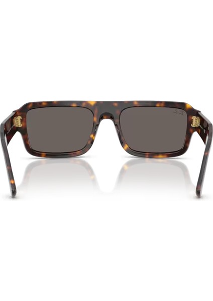 Rb RB3672 004/71 60-17-135 Erkek Güneş Gözlüğü modelleri