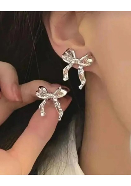 Fiyonk Model Çelik Küpe