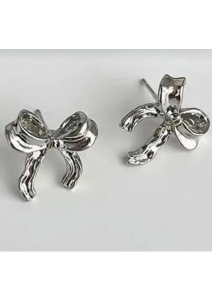 Fiyonk Model Çelik Küpe fiyatları