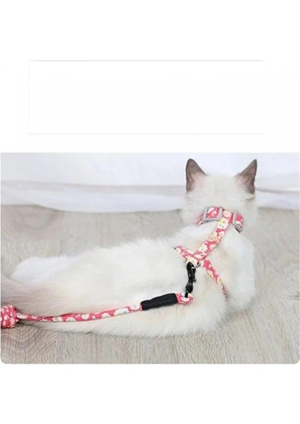 Kedi Gezdirme Göğüs Tasması modelleri