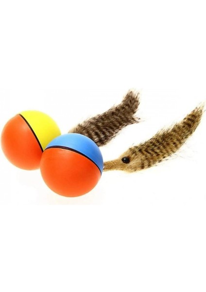 Hareketli Rakun Kedi Köpek Oyuncak modelleri