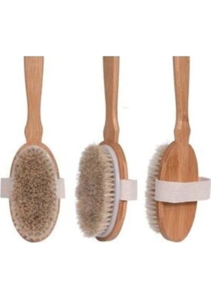 Organik Doğal At Kılı Banyo Fırçası fiyatları