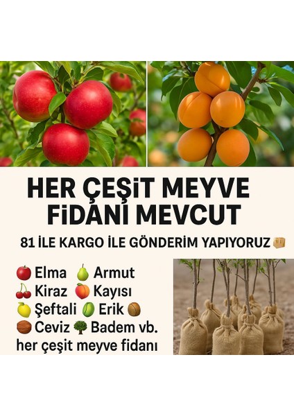 Keben Nar Fidanı 100-150 cm (2 Yaş) – Sağlıklı ve Verimli %100 Canlı Teslim Garantisi modelleri