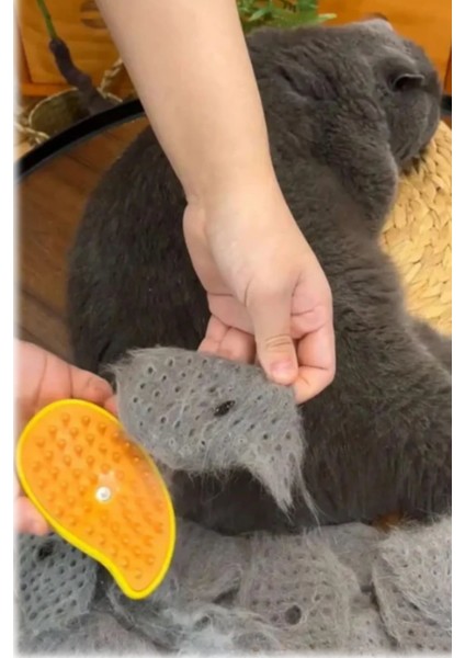 3 In 1 Buharlı Kedi ve Köpek Tüy Fırçası, Epilasyon ve Temizlik Aracı indirimleri