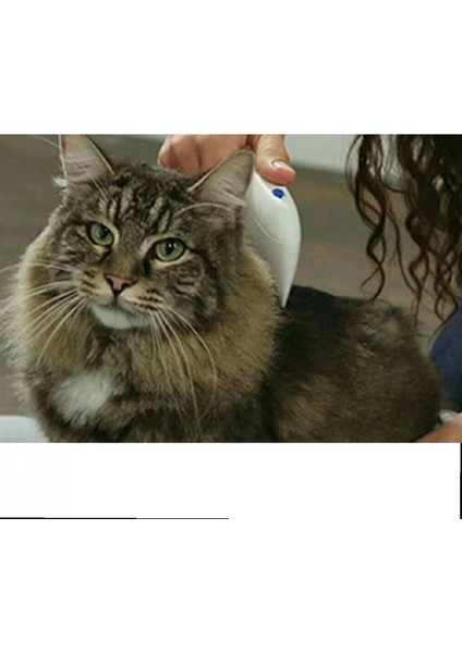 Kedi Köpek Pire Temizleyici Pire Tarağı Flea Doctor fiyatları