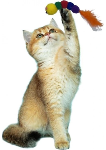 Yumuşacık İpli Tırtıl Şeklinde Rengarenk Sevimli Evcil Hayvan Oyuncağı indirimleri