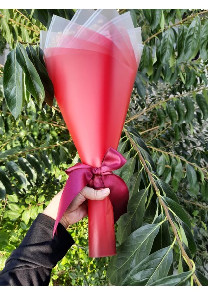 Aynalı - Cipsolu - LED Işıklı - Solmayan Gül Buketi Bordo Gül Dışı Kırmızı fiyatları