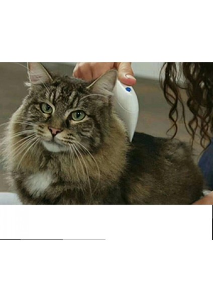 Flea Doctor Pet Hayvanlar İçin Haşere Öldürücü Pilli Pire Tarağı fiyatları