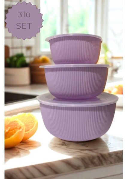 Şeffaf Kapaklı 3'lü Saklama Kabı , Yuvarlak Kase Seti