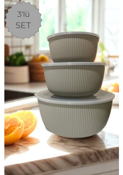 Şeffaf Kapaklı 3'lü Saklama Kabı , Yuvarlak Kase Seti