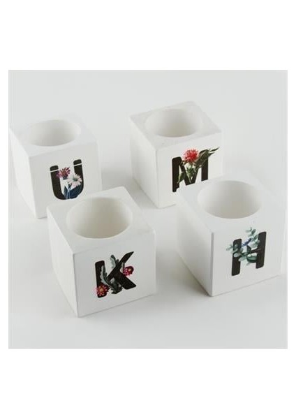 Ds-Derin Harf Figürlü Kaktüs Sukulent Saksısı-C fiyatları