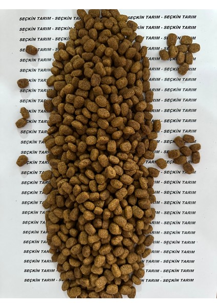 Tavuk Etli Tavuklu Yetişkin Kedi Maması 2.5 kg fiyatları