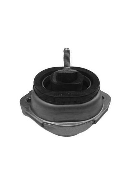Motor Kulağı Bmw E53 01-