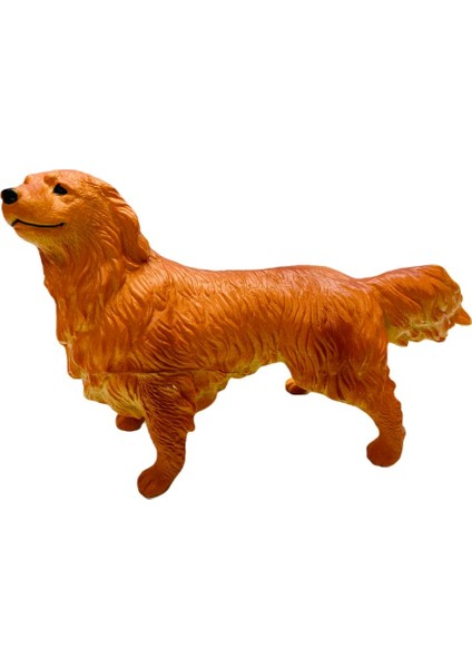 Soft Köpekler - Collie Cinsi Köpek - E013 (Lisinya)