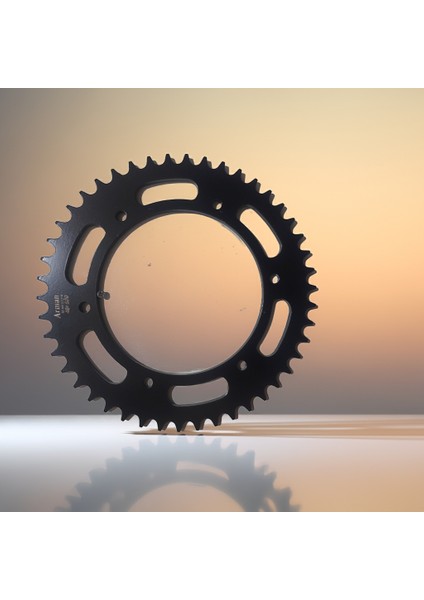 Rks R250 Arka Dişi 48T