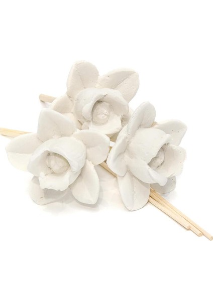 Taşlı Seramik Gül Temalı Doğal Bambu Kamış Seti, Şık ve Kullanışlı Alışveriş Seçeneği