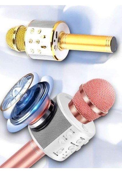 Ds-Derin Kareoke Mikrofon