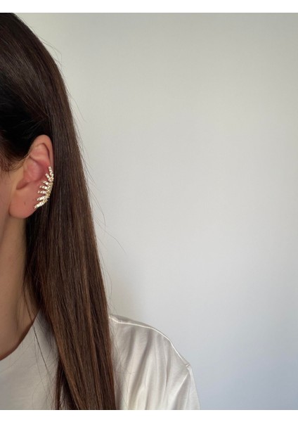 Çelik Earcuff