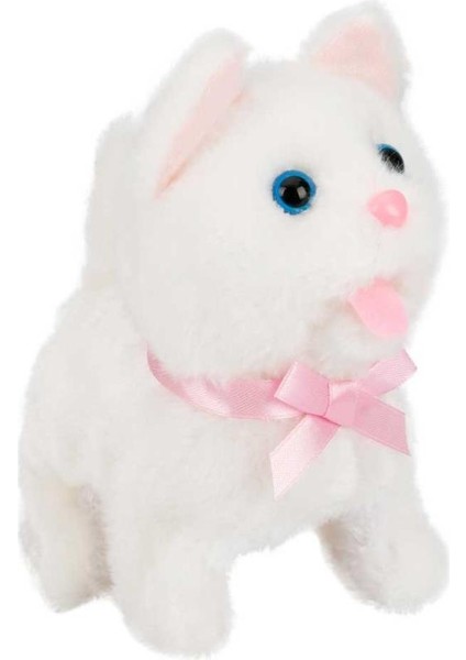 Sunman Jamina Sevimli Peluş Kedi Lottie