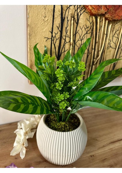 Yeşil Saksılı Yapay Çiçek, Dekoratif ve Doğal Taş Yosunlu Masa Süsü
