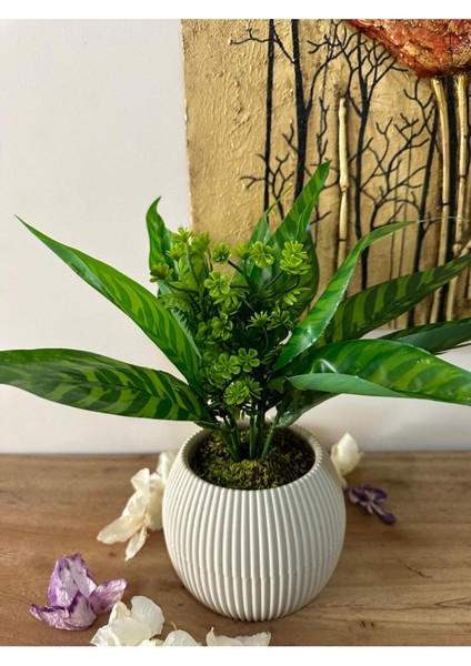 Yeşil Saksılı Yapay Çiçek, Dekoratif ve Doğal Taş Yosunlu Masa Süsü modelleri
