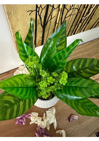 Yeşil Saksılı Yapay Çiçek, Dekoratif ve Doğal Taş Yosunlu Masa Süsü indirimleri