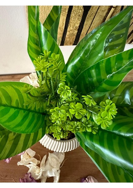 Yeşil Saksılı Yapay Çiçek, Dekoratif ve Doğal Taş Yosunlu Masa Süsü