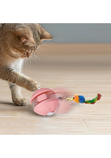 Şarjlı Hareketli Kedi Topu Oyuncak fiyatları