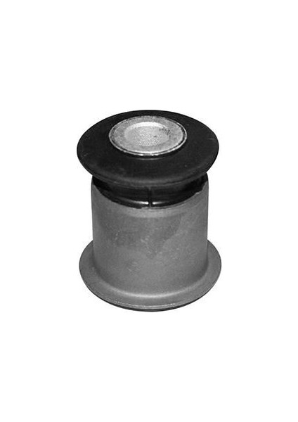 Salıncak Burcu Orta Vag T4 91-03